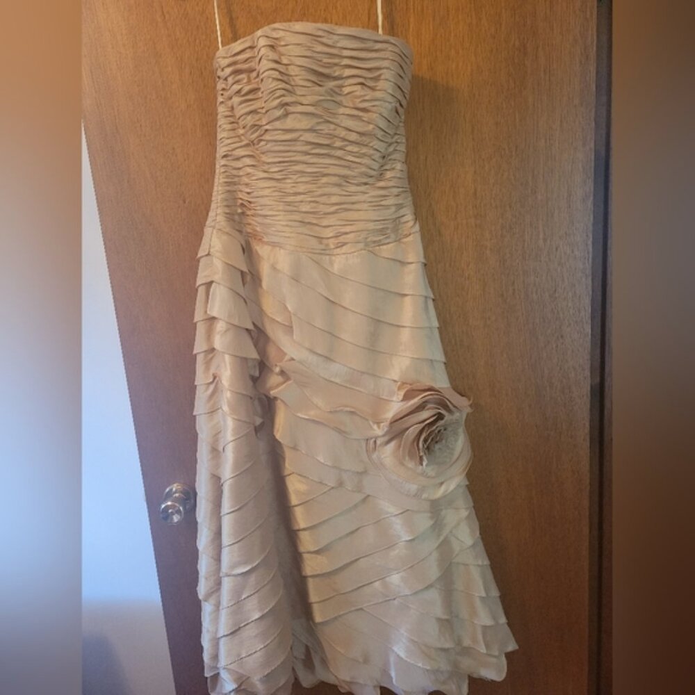 Beautiful Gown